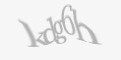 Защитный код